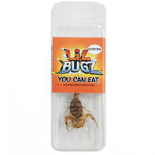 Lil Bigz Scorpion comestible